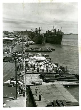 View of Docks From Northwest, Showing Activity