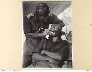 YAMIL SECTOR, NEW GUINEA. 1945-08-01. CAPTAIN J.V. WILKINSON, DENTAL OFFICER, B SECTION, 2/4 DENTAL UNIT (1), GIVING FRONT LINE DENTAL TREATMENT TO PRIVATE J.F. PARKER, 2/6 INFANTRY BATTALION (2). ..