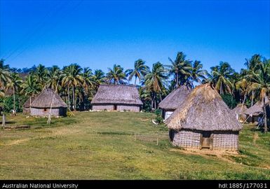 22 miles after Nandi - Fijian village