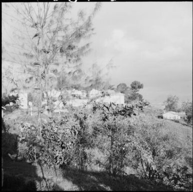 Tobacco factory, Fiji, November 1969 / Michael Terry