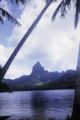 French Polynesia, view of Mount Tohivea on Moorea Island