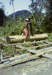 Pit sawing, Wapena-Manda Road, [Wapenamanda,1963?]