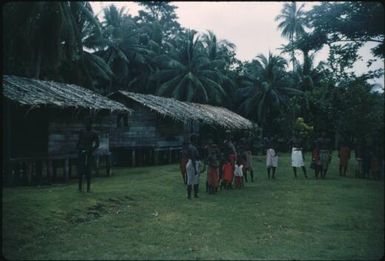 Village houses (3) : Nissan Island, Papua New Guinea, 1960 / Terence and Margaret Spencer