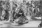 Pig festival, pig sacrifice, Tsembaga: women gather bark for lining above ground ovens