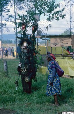 ["ansiktsmålning, huvudbonad, festival, fotografi, photograph"]