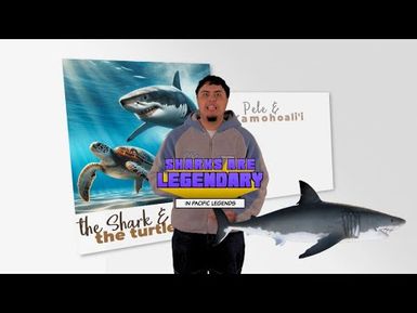 Meet the GOATS of the Pacific Ocean | Island Insights