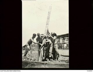 KIRIWINA, TROBRIAND ISLANDS, PAPUA. 1943-12-26. AIRMEN OF NO. 76 (KITTYHAWK) SQUADRON RAAF STANDING A POLE IN THE GROUND TO MAKE A STANDARD FOR A GYMNASIUM