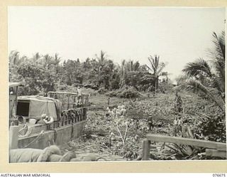 JACQUINOT BAY, NEW BRITAIN. 1944-11-04. BULLDOZERS OPERATED BY PERSONNEL OF THE 55TH FIELD PARK COMPANY, 12TH FIELD COMPANY CLEARING A JUNGLE AREA FOR THE 6TH INFANTRY BRIGADE UNITS IN THE BONDI ..