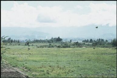 The valley floor - where once they were afraid to live (1) : Wahgi Valley, Papua New Guinea, 1970 / Terence and Margaret Spencer