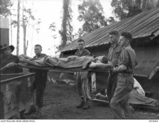 LALUM, BOUGAINVILLE, 1945-06-12. STRETCHER CASES BEING LOADED ONTO A JEEP TRAILER AT 19 FIELD AMBULANCE MAIN DRESSING STATION, FOR TRANSPORTATION TO THE HOSPITAL SHIP STRADBROKE. THE PATIENTS, ..