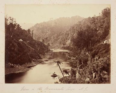 View in the Manawatu Gorge, N.Z. From the album: Views of New Zealand Scenery/Views of England, N. America, Hawaii and N.Z.