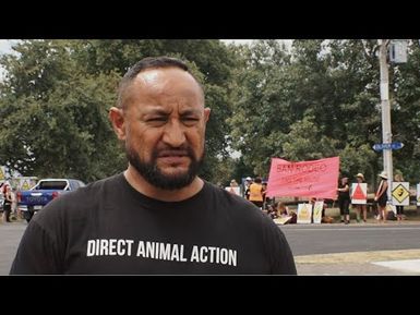 Poly-vegan soldier leads fight to ban NZ rodeos