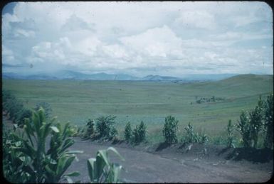 The deserted flat plain of the northern side of the Waghi Valley : Waghi Valley, Papua New Guinea, 1954 / Terence and Margaret Spencer