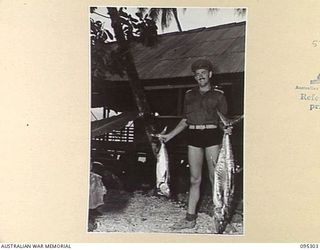 PALMALMAL PLANTATION, JACQUINOT BAY, NEW BRITAIN, 1945-08-14. MAJOR F.T. HILL AT HEADQUARTERS 11 DIVISION DISPLAYING A CATCH OF FISH