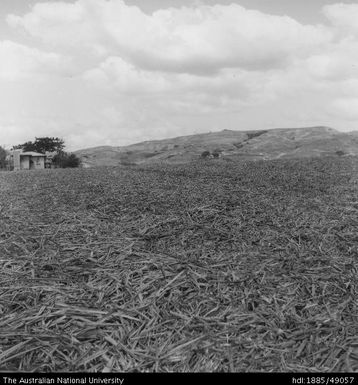 Trash conservation, Moto Estate