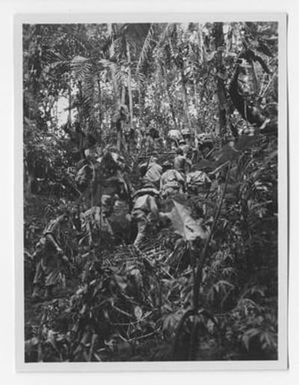 [Soldiers Travel Through a Forest]