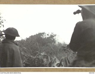 FARIA RIVER AREA, NEW GUINEA. 1943-11-07. TROOPS OF THE 2/4TH AUSTRALIAN FIELD REGIMENT OBSERVING THEIR ARTILLERY FIRE ON JAPANESE POSITIONS, ON SHAGGY RIDGE. A BATTERY OF THE REGIMENT FIRED 156 ..