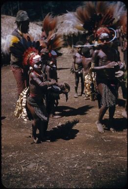 Dancing on the singsing ground: men in all their splendour (2) : The Tengerap Clan Singsing, Wahgi Valley, Papua New Guinea, 1954 / Terence and Margaret Spencer