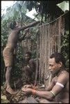 Elota tying up shell money portions to return to contributors to his mortuary feasts
