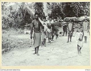 BASAMA-LAE AREA. NEW GUINEA. 1944-07-13. BASAMA NATIVES BRINGING IN SAGO PALM LEAVES AND OTHER MATERIAL FOR MAKING ROOFING THATCH