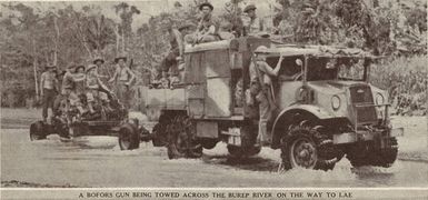 A Bofors gun being towed across the Burep River on the way to Lae