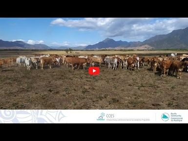 PROTEGE: lancement du guide de lecture bovin bio - réseau de fermes de démonstration en agroécologie