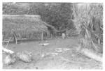 The anthropologist's tent (after Malinowski) ; on the beach at Futu.