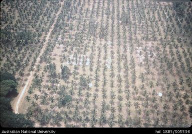 Copra and WWII foundations, Santo