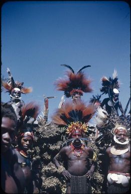 Men with peanuts : Wahgi Valley, Papua New Guinea, 1954-1955 / Terence and Margaret Spencer