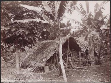 A house at Steep Cliff Bay, Raga, New Hebrides, 1906 / J.W. Beattie