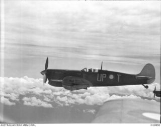 BISMARCK ARCHIPELAGO. 1944-03-28. AIRCRAFT, CODE NAMED UP-T, OF NO. 79 (SPITFIRE) SQUADRON RAAF, IN FLIGHT OVER NEW BRITAIN EN ROUTE FROM KIRIWINA TO THE ADMIRALTY ISLANDS. PHOTOGRAPH TAKEN FROM A ..