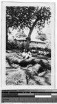 Heeia convent as seen from the school yard, Heeia, Hawaii, 1932