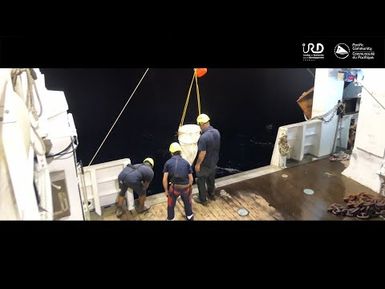 Phytoplankton and zooplankton sampling | Pacific scientific cruises tuna ecosystems