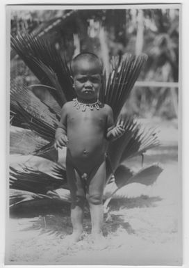 "Bock and Hessle Gilbertöarnaexpedition: 1 little child, 1 little boy dressed necklace, in front of low-growing palm. : A series with a photon. 6977: 1-15. "