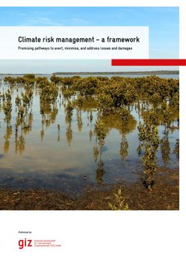 Climate Risk Management - A Framework: Promising Pathways to avert, minimise and address Losses and Damages