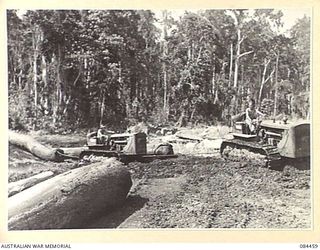 LAE, NEW GUINEA. 1944-12-21. SAPPER C R LEWIS, (1), AND SPR M C A WALKER, (2), 2/3 FORESTRY COY, USING TRACTORS TO HAUL LOGS FROM THE JUNGLE AT THE UNTHANK SAWMILL SITE