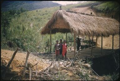 Bridge on Tsigmil road : Wahgi Valley, Papua New Guinea, 1954 and 1955 / Terence and Margaret Spencer