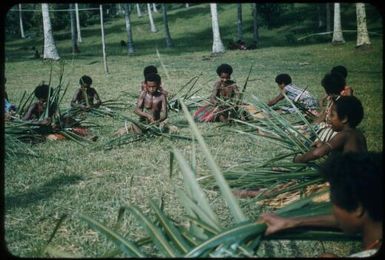 Sports - basket weaving race (coconut leaves ) : Mapamoiwa Station, D'Entrecasteaux Islands, Papua New Guinea, 1957 / Terence and Margaret Spencer