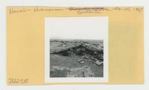 [Sadleria in Hawaii, envelope IE32-235]