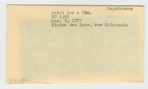 [Sapotaceae in New Caledonia, envelope IE41-196]