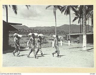 MILNE BAY, NEW GUINEA. 1944-01-11. MEMBERS OF NO. 1 PLATOON 2/1ST FIELD BUTCHERY COMPANY CARRYING FROZEN CARCASES FROM THE FREEZING- CHAMBER AT THE SLAUGHTER YARDS