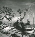 Boats alongside the quay, port of Papeete