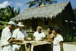 Inspecting coffee, Logea, 1957