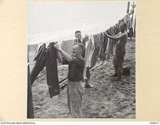 CAPE PUS, WEWAK AREA, NEW GUINEA. 1945-09-07. THE TENT LINES OF 2/1 TANK ATTACK REGIMENT ARE SITUATED ON THE EDGE OF THE BEACH. SHOWN, MEMBERS HANGING OUT WASHING. IDENTIFIED PERSONNEL ARE:- GUNNER ..