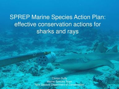 SPREP Marine species action plan: effective conservation actions for sharks and rays