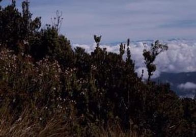 [Landscape of Mount Piora in Goroka District, Papua New Guinea]