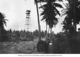 One of the steel tower that housed the automatic cameras that filmed explosions during Operation Crossroads, Bikini Island, summer 1949