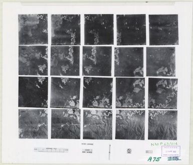 Stereo assembly Papua New Guinea. (Dove , sheet 1)