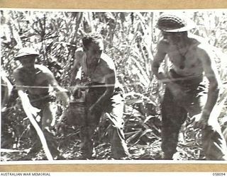 FINSCHHAFEN, NEW GUINEA, 1943-10-02. THE ROUGH TERRAIN IN THE AREA NECESSITATED THESE HUMAN SUPPLY CHAINS TO GET AMMUNITION AND FOOD TO THE FORWARD TROOPS