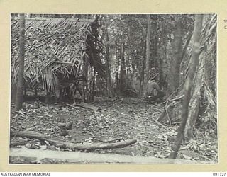 KARAWOP, AITAPE-WEWAK SECTOR, NEW GUINEA. 1945-04-29. A GROUP OF ABANDONED JAPANESE HUTS BEING INVESTIGATED BY A PATROL FROM A COMPANY, 2/1 INFANTRY BATTALION. THESE HUTS WERE LATER DESTROYED BY ..